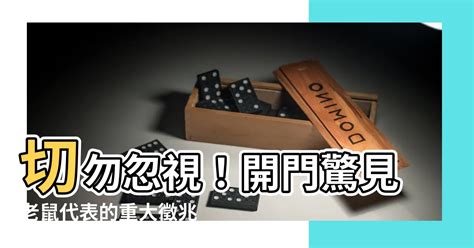 路上看到老鼠代表什麼